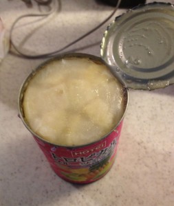 凍った缶詰