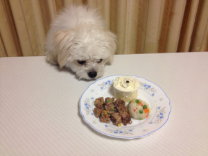犬の誕生日のお祝い2