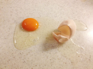 卵が割れる