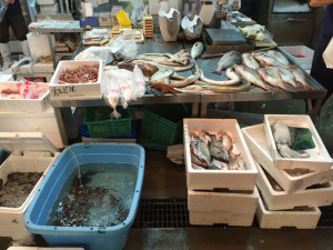木津市場の魚1