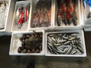 木津市場の魚2