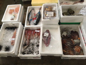木津市場の魚3