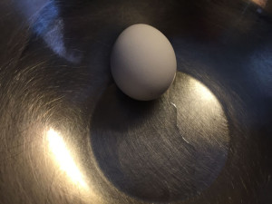 茹で上がった卵