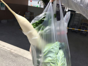 買った野菜